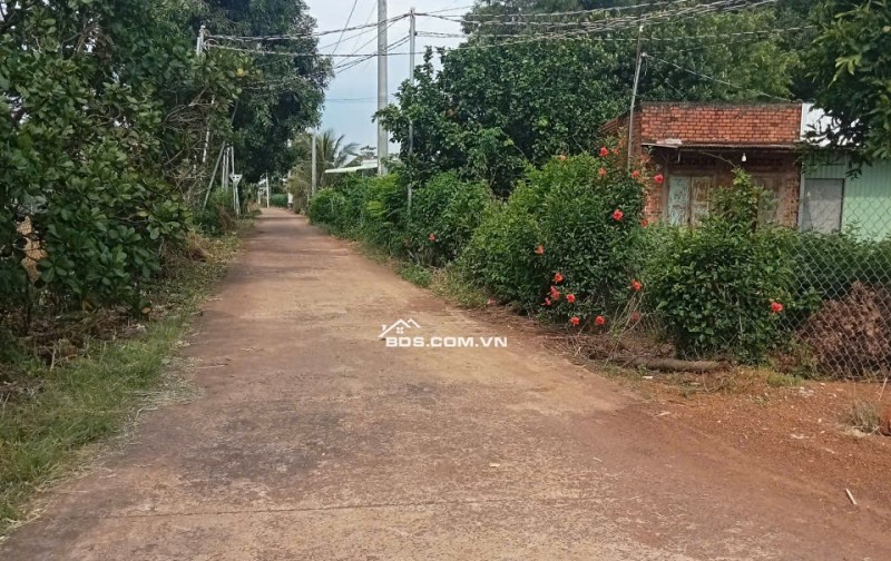 5 sào đất cần bán gấp tại cẩm mỹ đồng nai